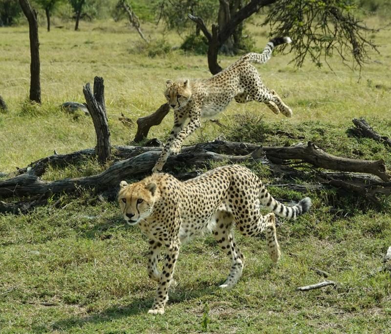 3 Day Safari to Ngorongoro