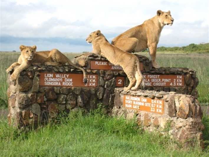 3-Day Masai Mara Safari