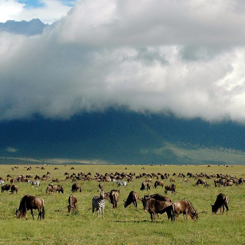 8-Day Wonders of Kenya & Tanzania